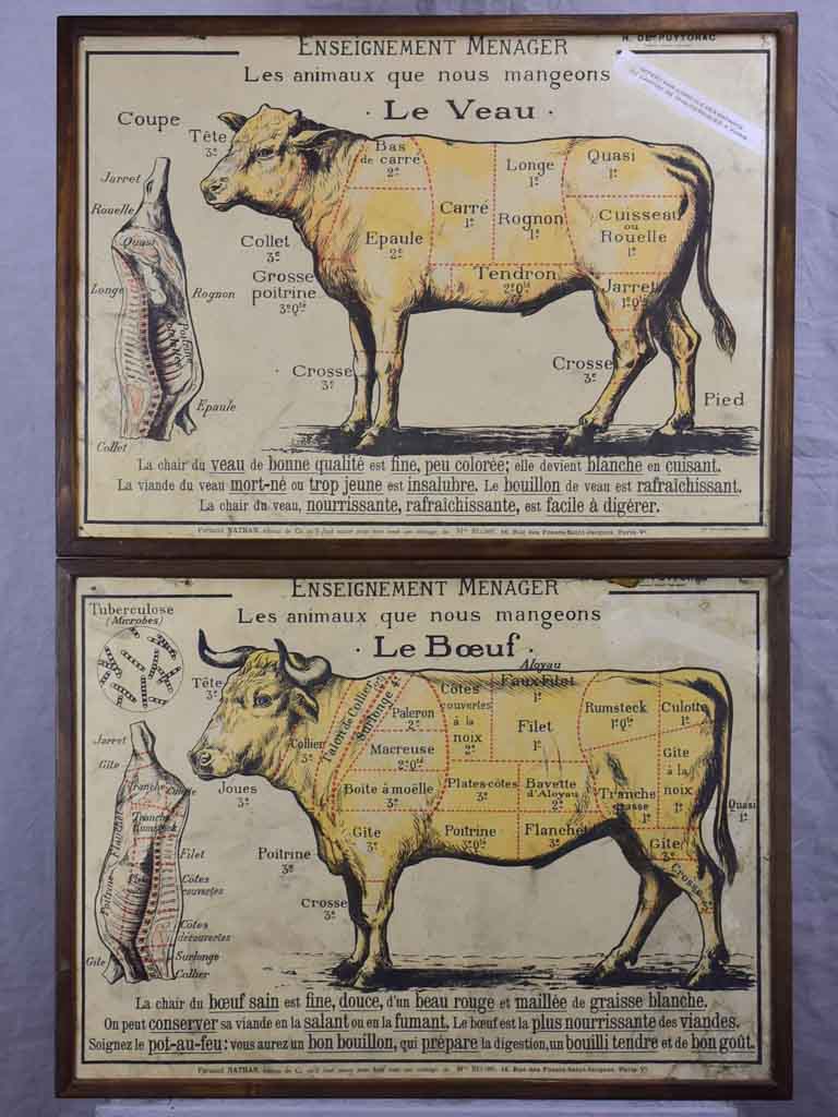 Antique French butcher's cut charts - beef and veal