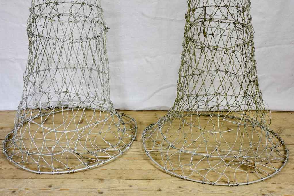 Two wire topiary training frames 63½"