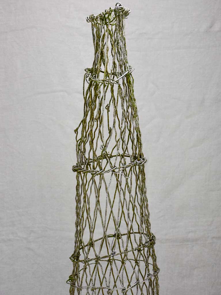 Two wire topiary training frames 63½"