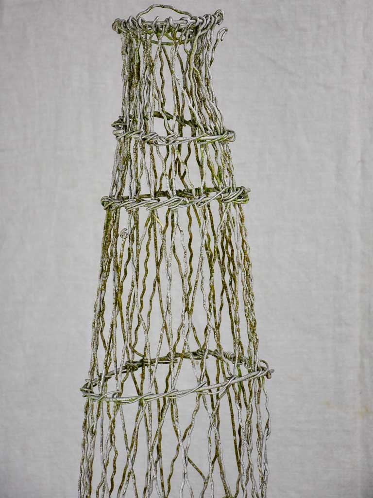 Two wire topiary training frames 63½"