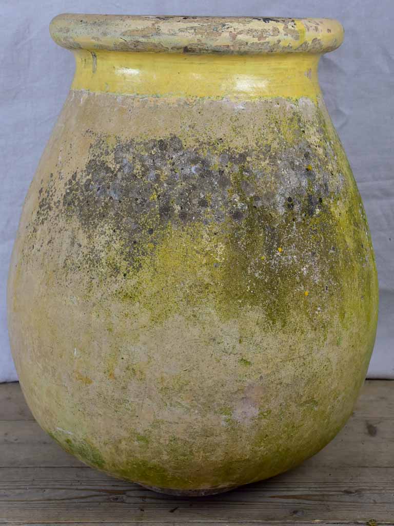 19th Century French Biot olive jar 27½"