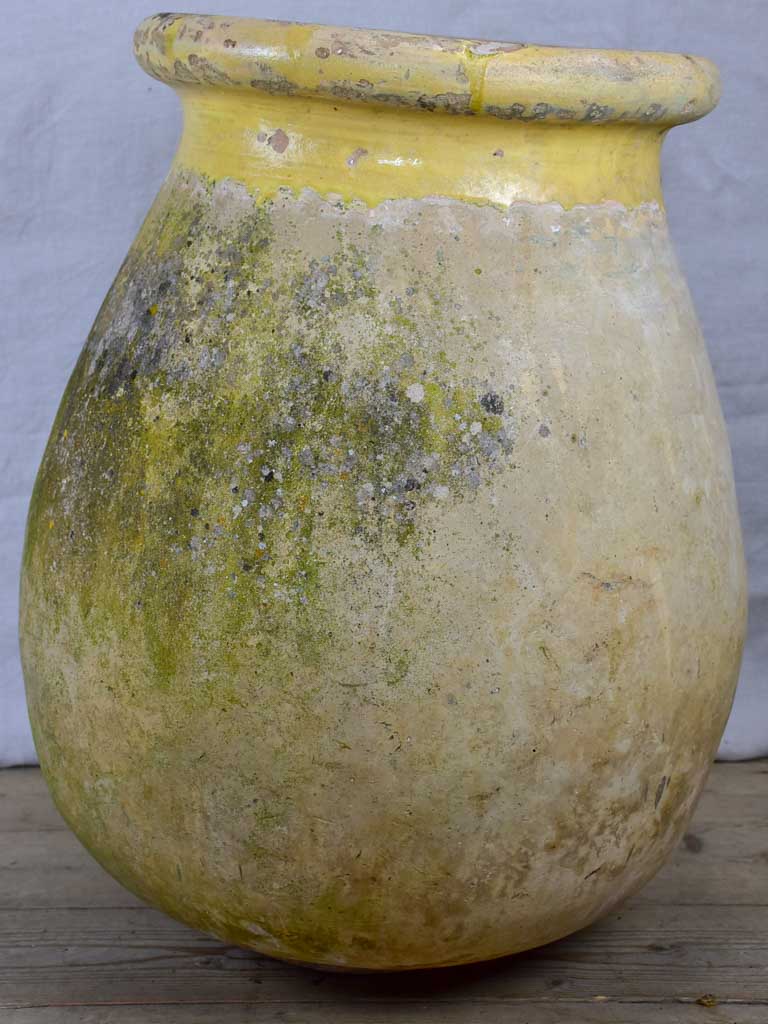 19th Century French Biot olive jar 27½"