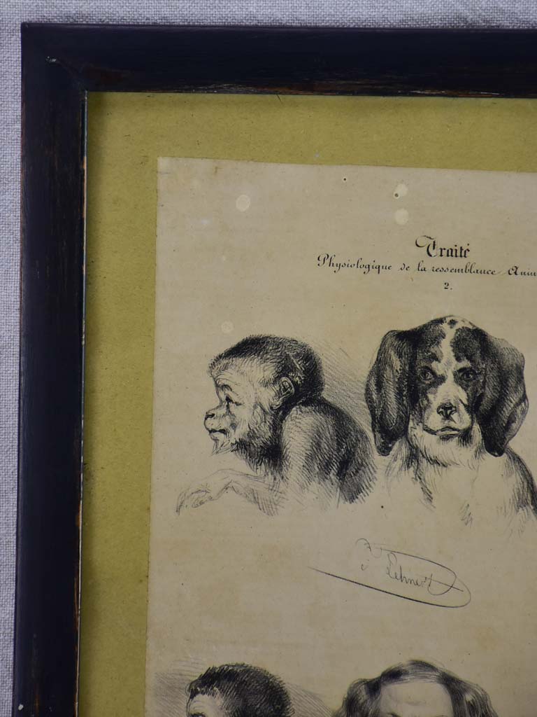 19th century French engraving "man and animal" homme et animal - anonymous 13¾" x 18"