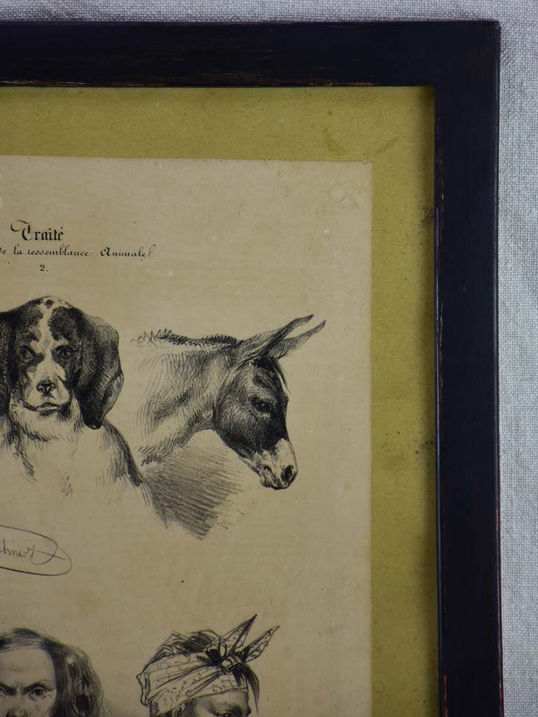 19th century French engraving "man and animal" homme et animal - anonymous 13¾" x 18"