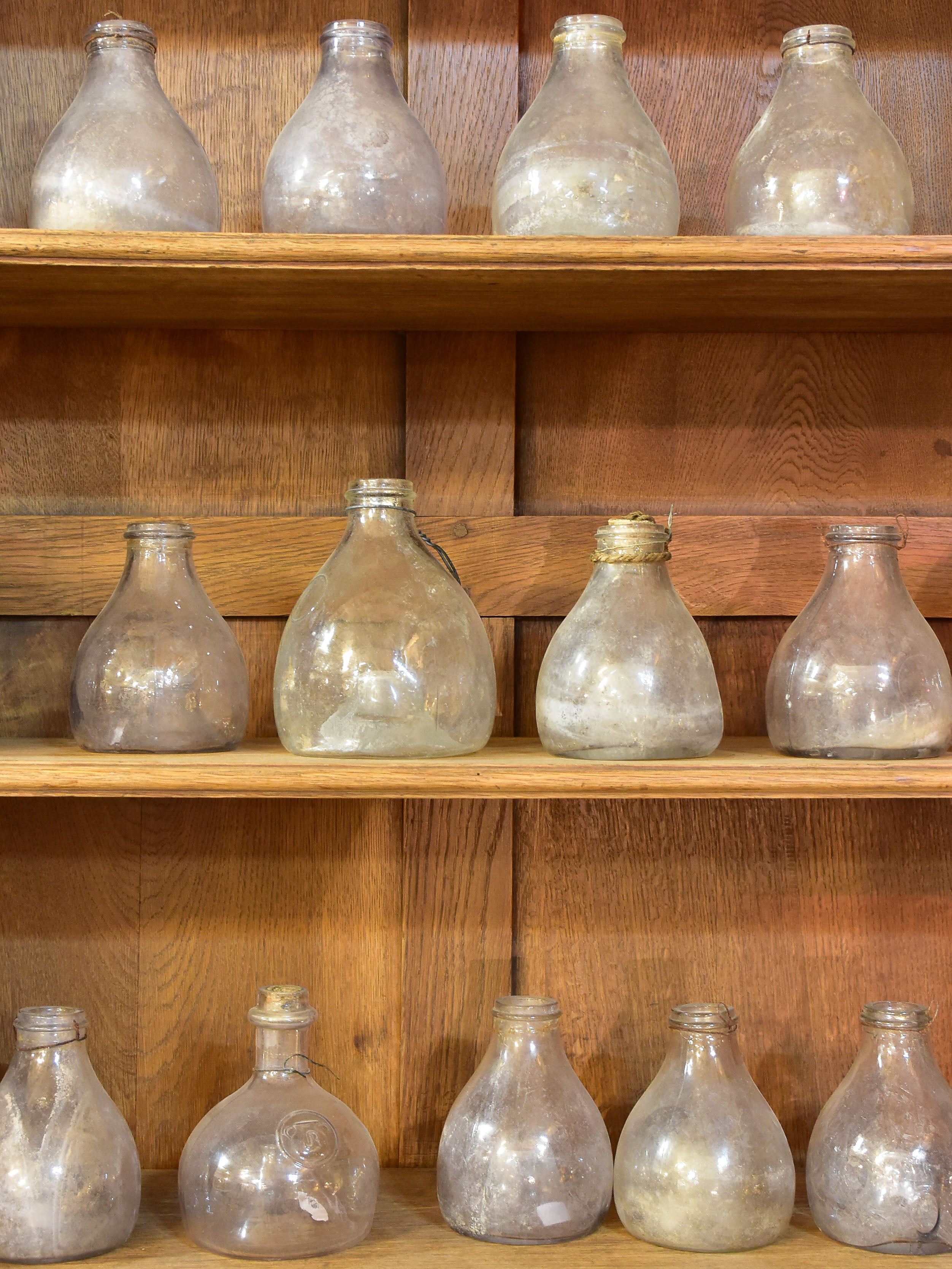 Collection of 5 antique French fly trap bottles