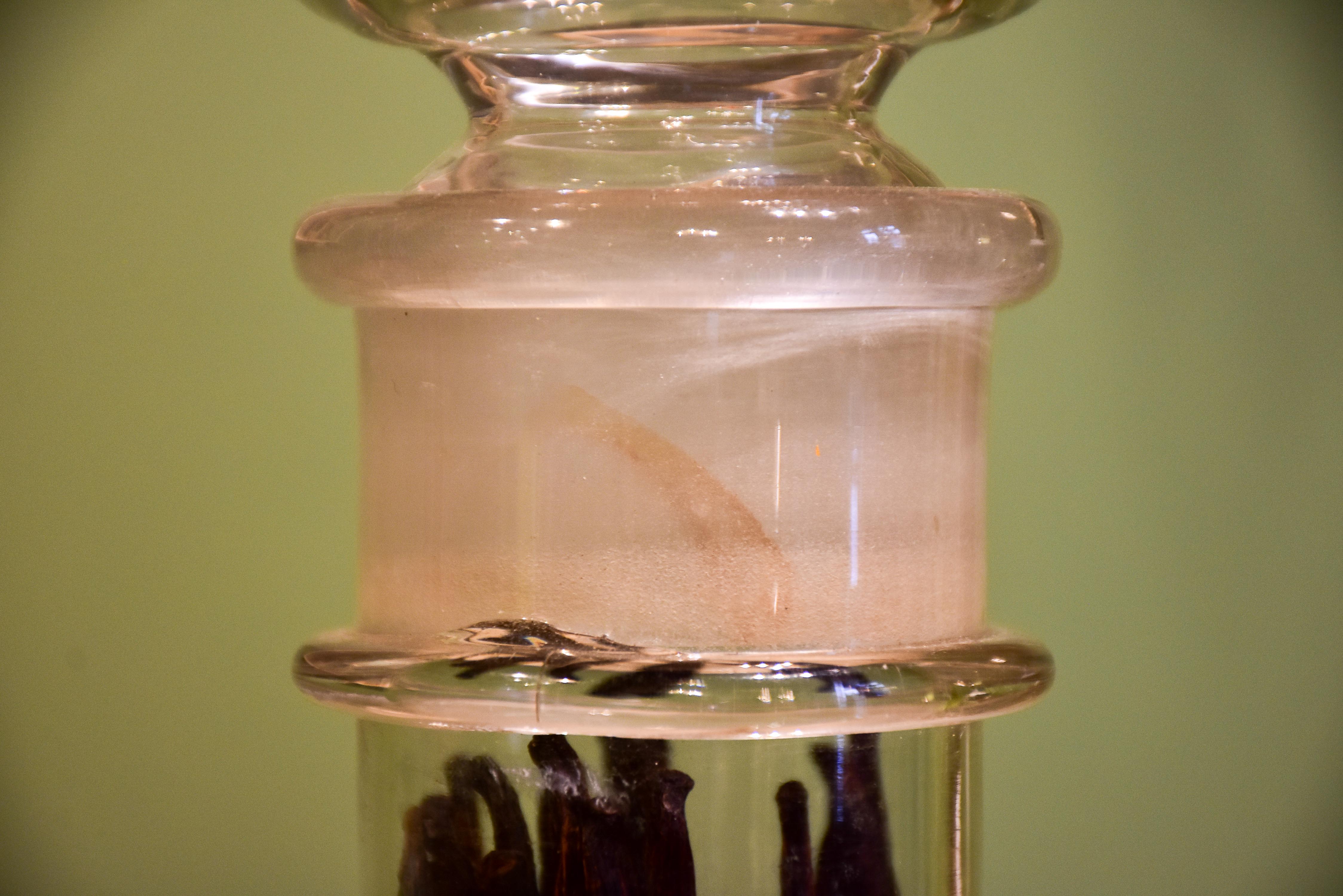 Antique French vanilla jar with lid