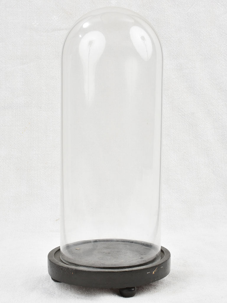 Napoleon III glass display dome - 12½"