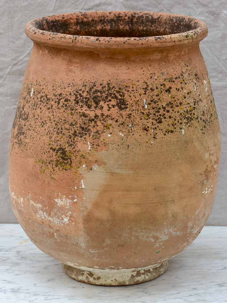 Vintage terracotta planter / oil jar