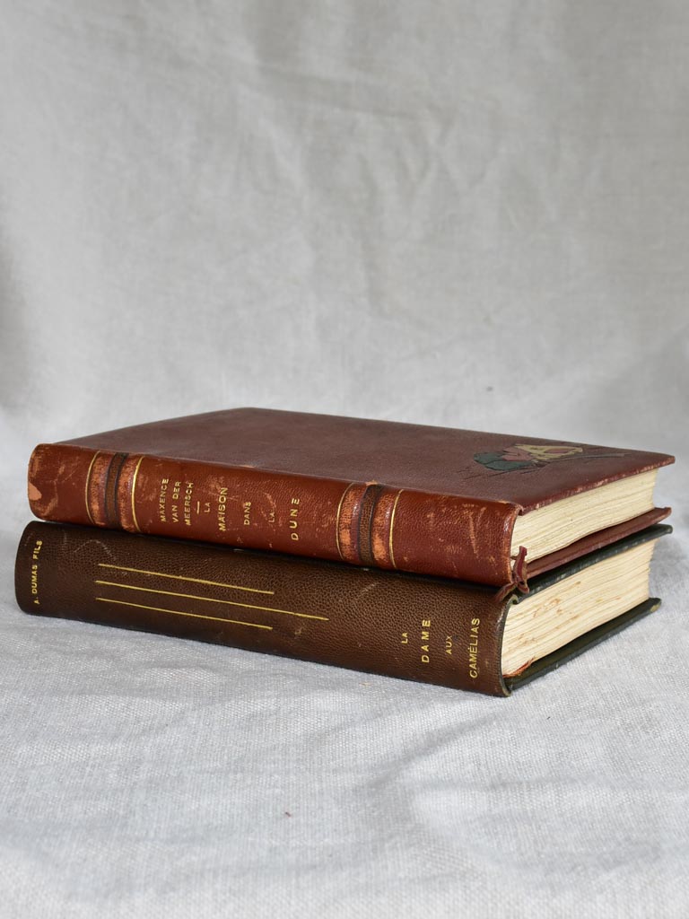 Antique Leather-bound French Novel