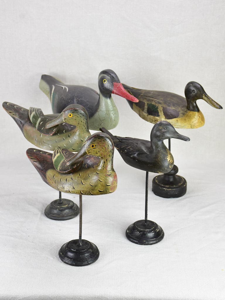 Collection of five hunting decoy ducks mounted on wooden blocks