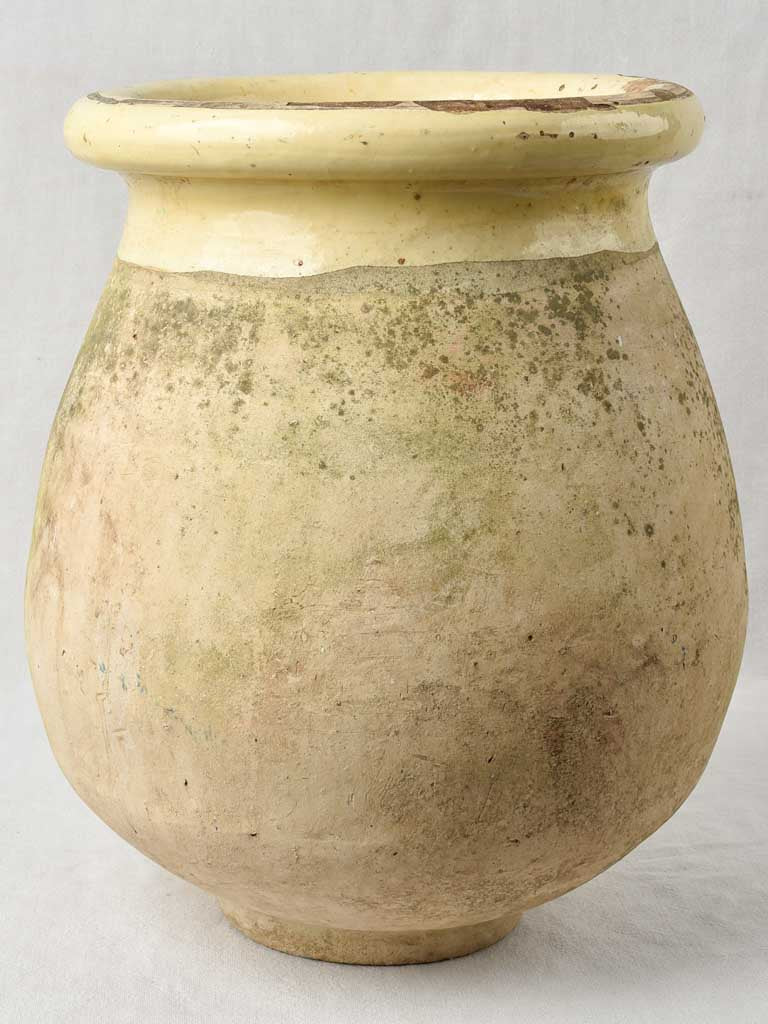 Small 19th century olive jar 19"