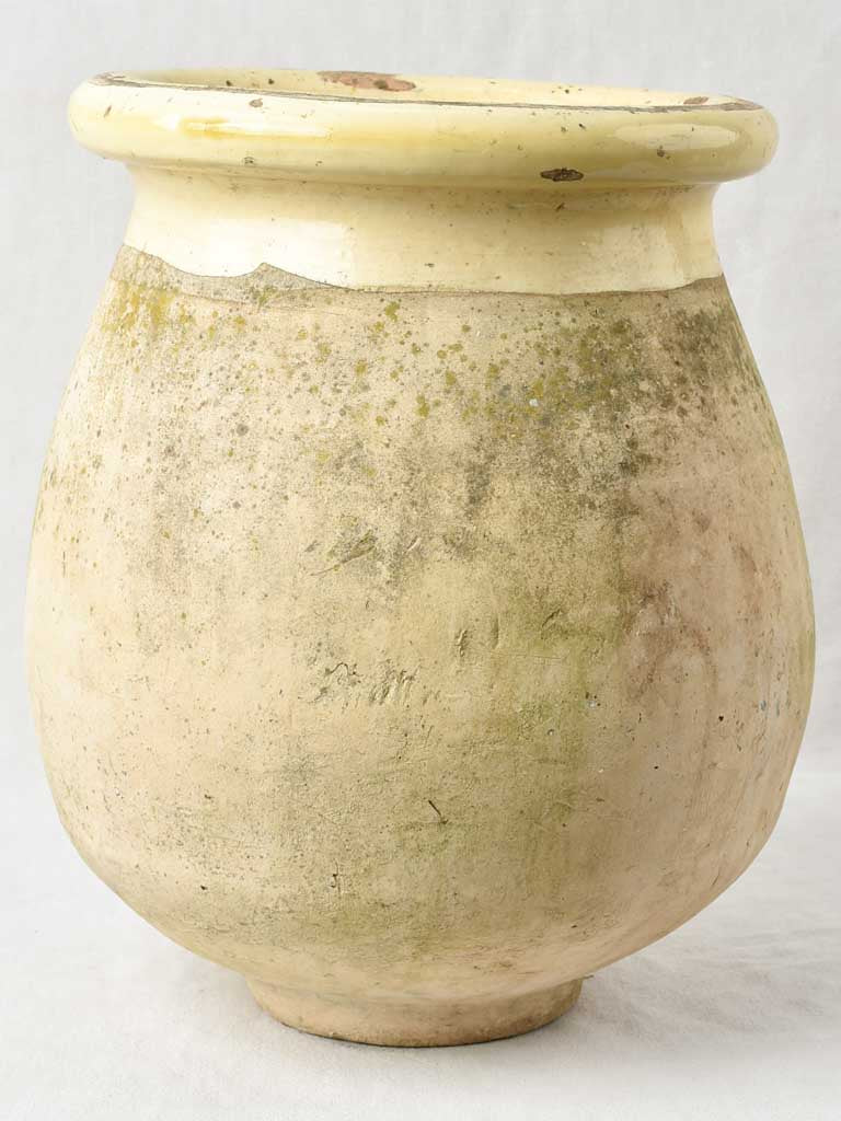 Small 19th century olive jar 19"