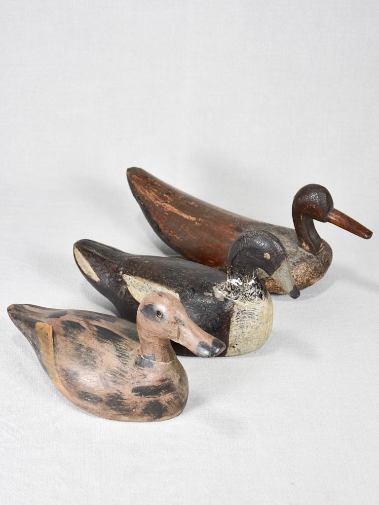 Three vintage wooden decoy ducks