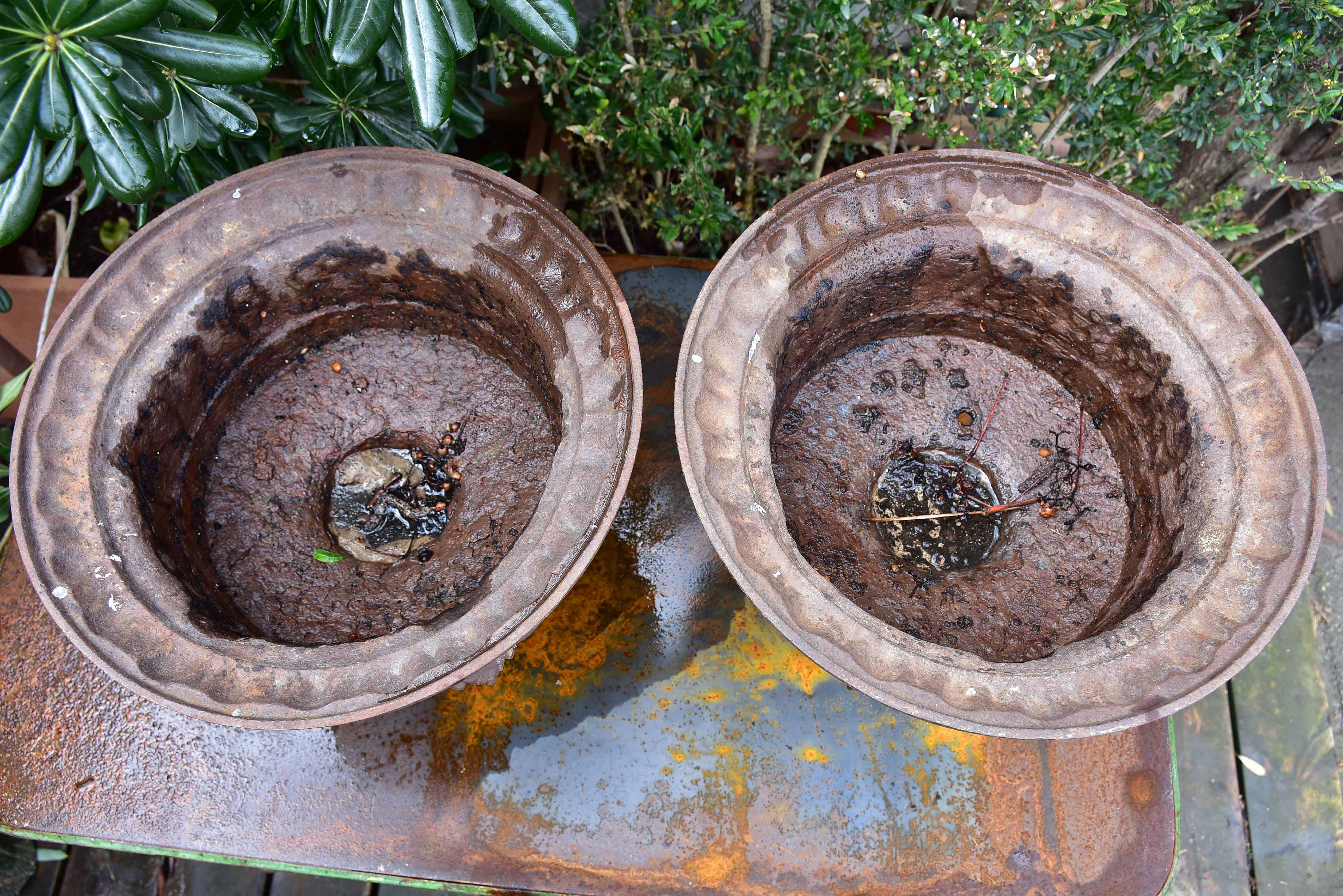 Pair of 19th century French garden urns with brown patina