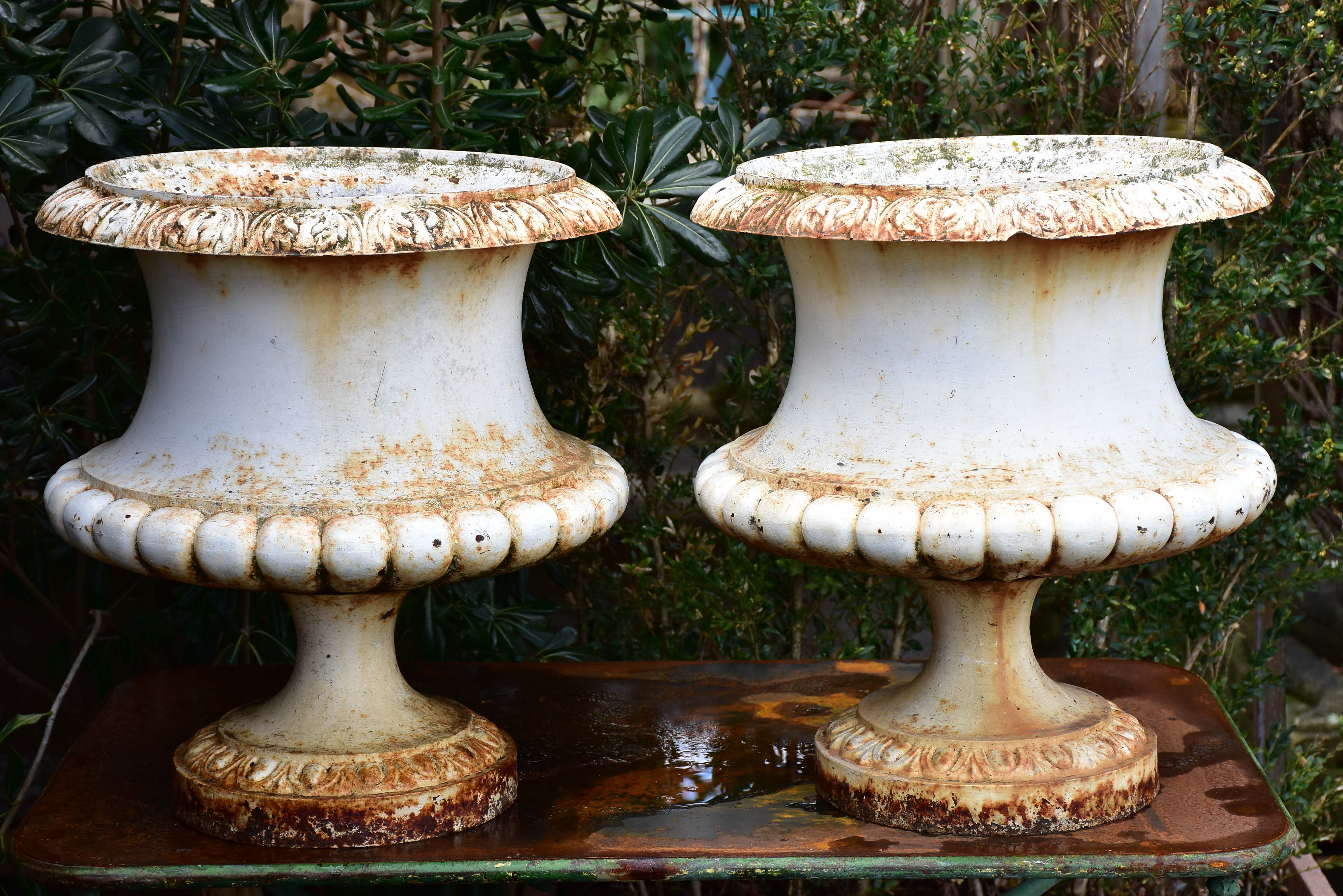 Two large antique French garden urns with white finish