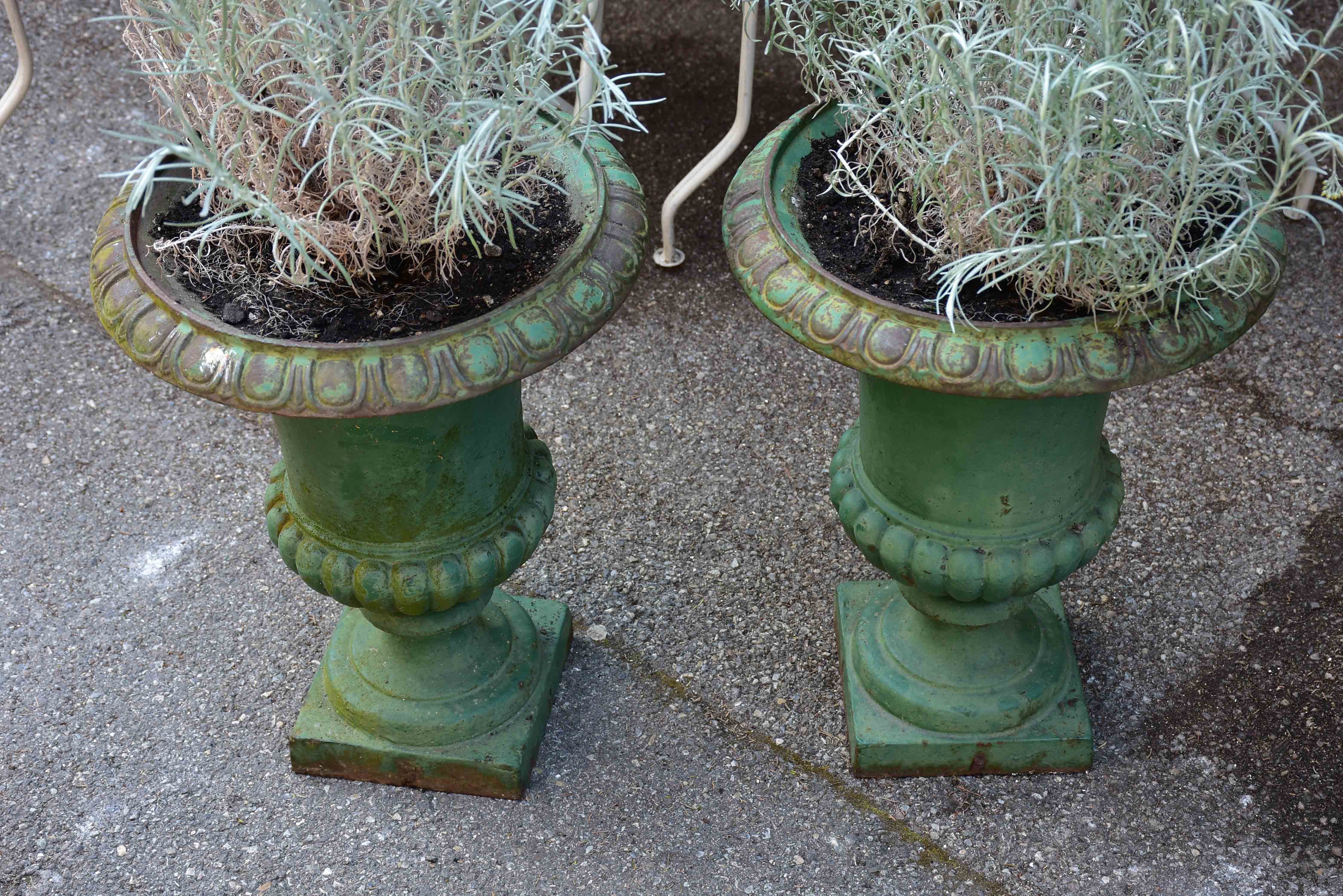 Pair of green cast-iron Medici garden urns