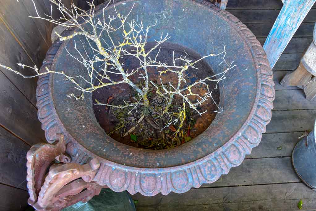 Pair of extra large antique French cast iron Medici urns with overarching handles