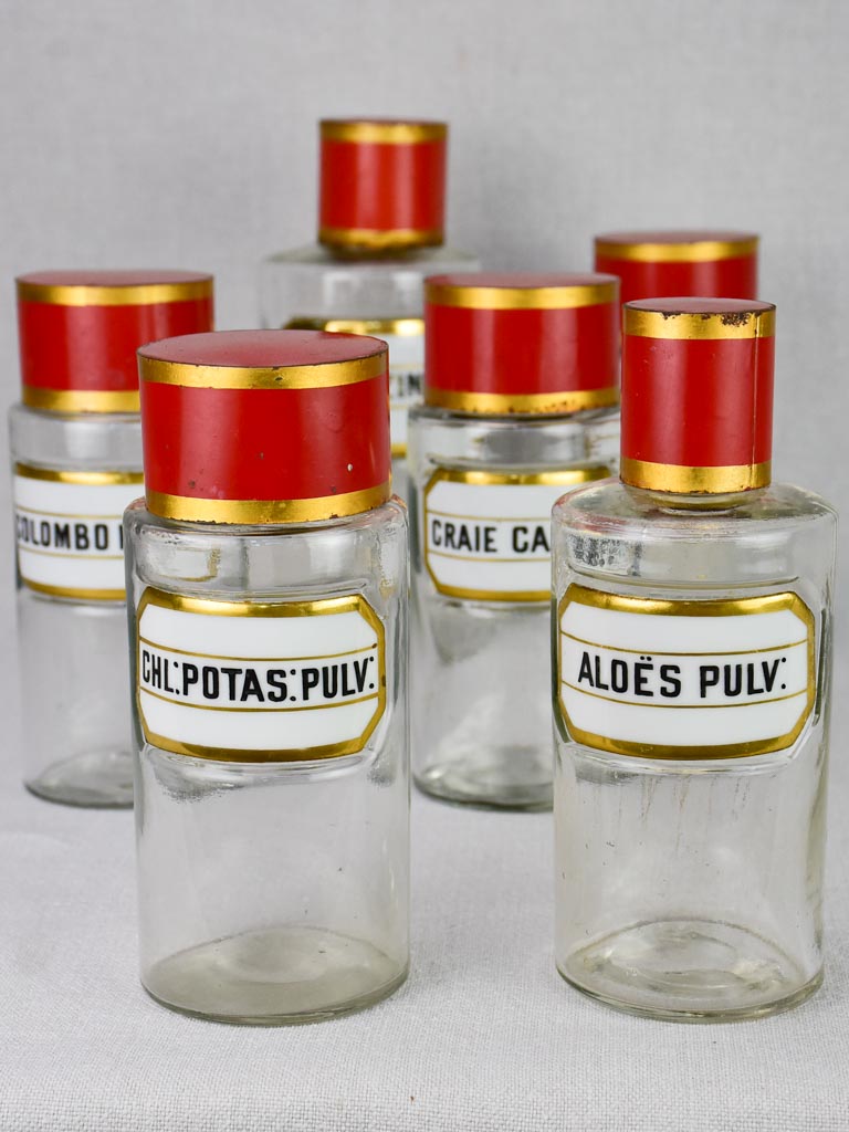 Collection of 6 French apothecary jars with porcelain labels - late 19th century