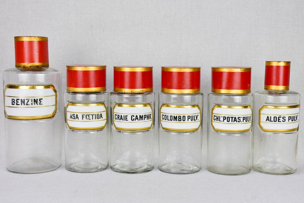 Collection of 6 French apothecary jars with porcelain labels - late 19th century