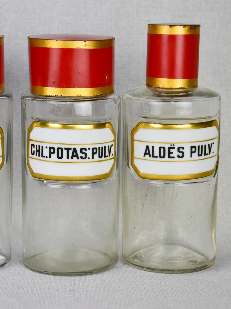 Collection of 6 French apothecary jars with porcelain labels - late 19th century