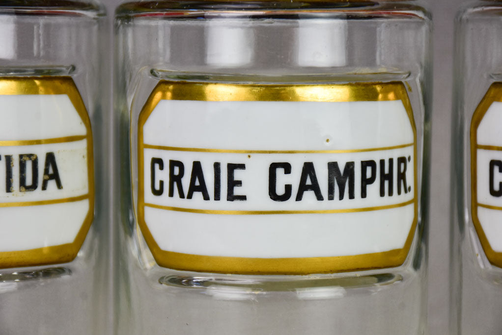 Collection of 6 French apothecary jars with porcelain labels - late 19th century