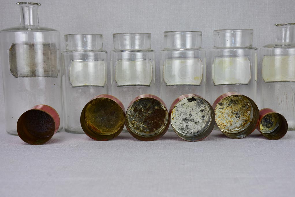 Collection of 6 French apothecary jars with porcelain labels - late 19th century