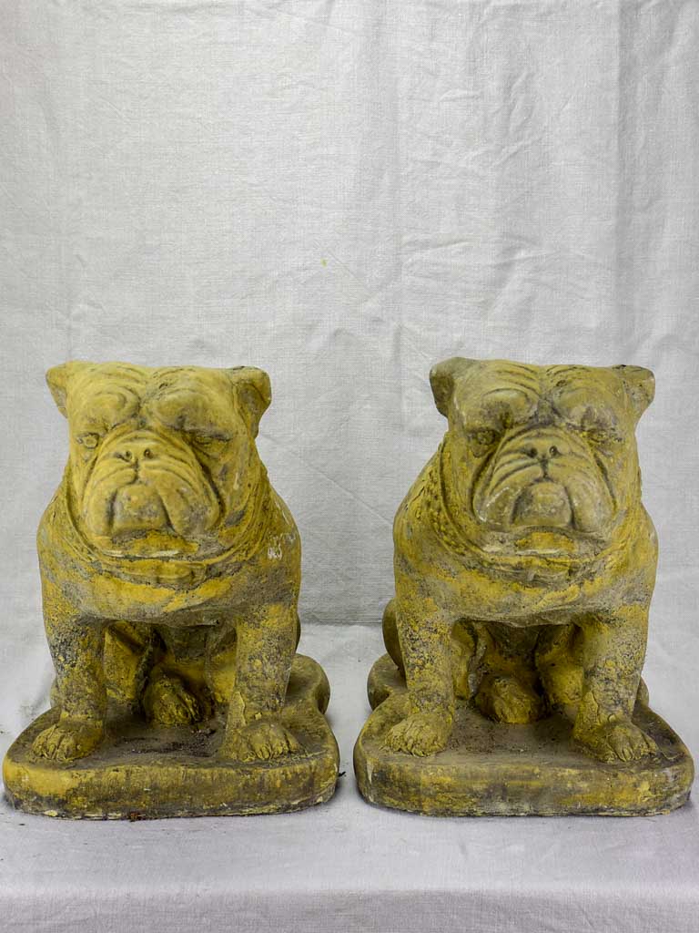 Pair of antique French garden sculptures of bulldogs 15¼"