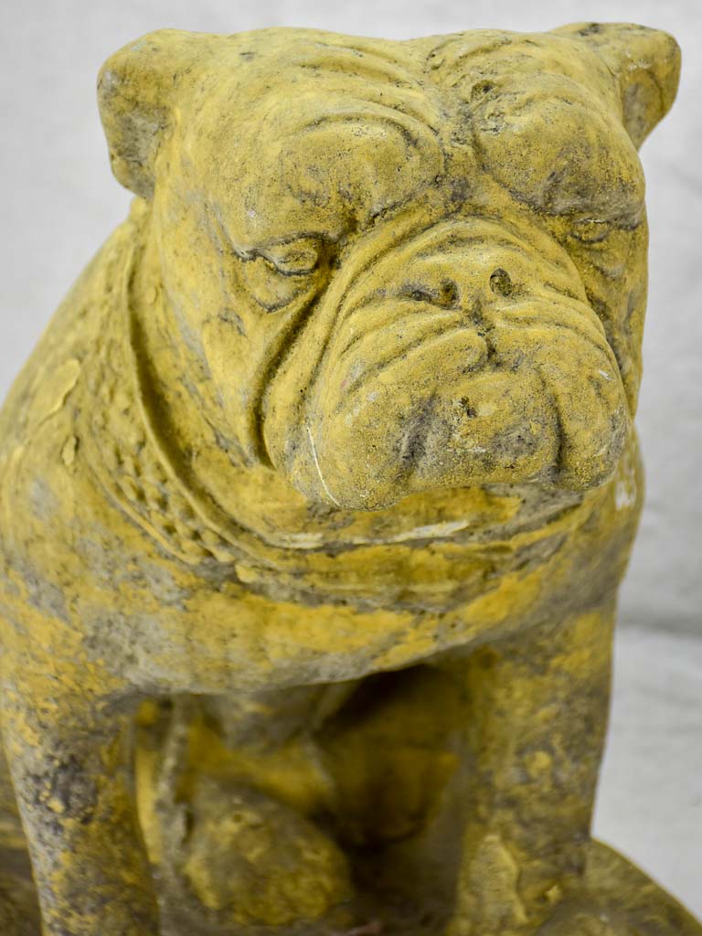 Pair of antique French garden sculptures of bulldogs 15¼"