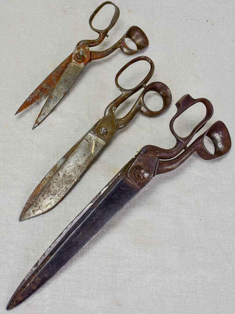 Early 20th Century tailor's scissors 2/3