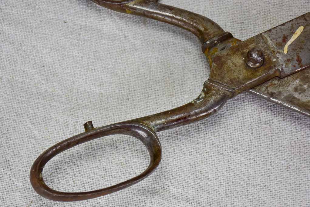 Early 20th Century tailor's scissors 2/3