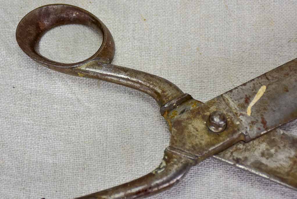 Early 20th Century tailor's scissors 2/3