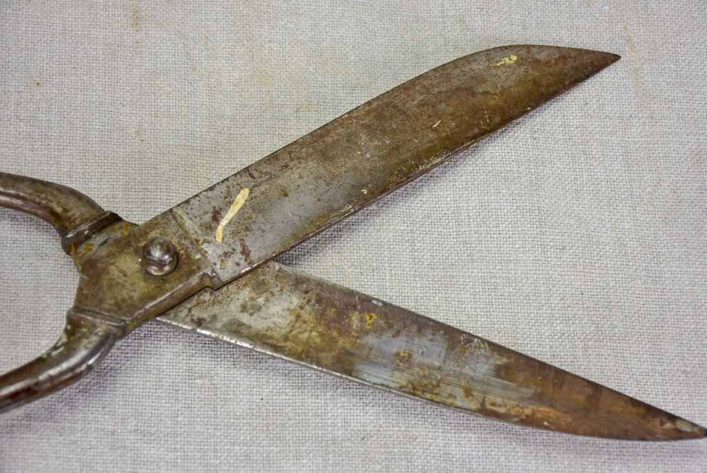 Early 20th Century tailor's scissors 2/3