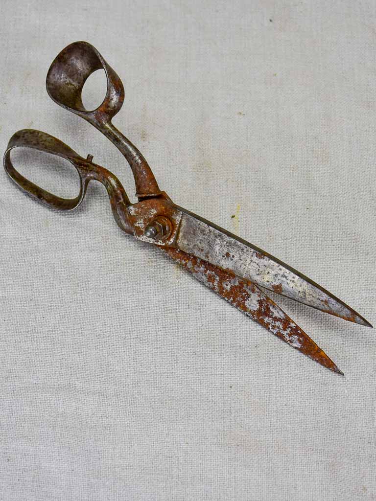 Early 20th Century tailor's scissors 3/3