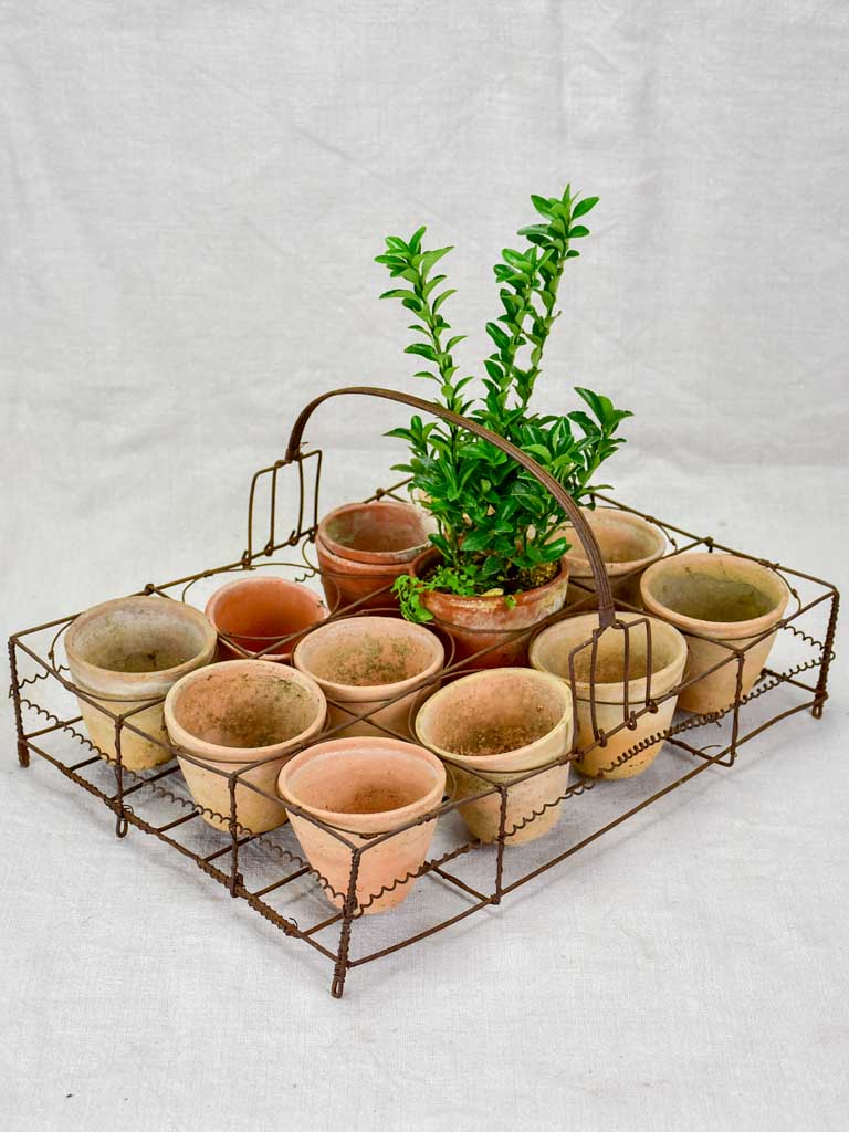 Antique French wire basket - twelve jar capacity