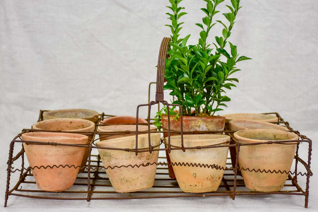 Collection of twelve small antique French terracotta pots 3¼"