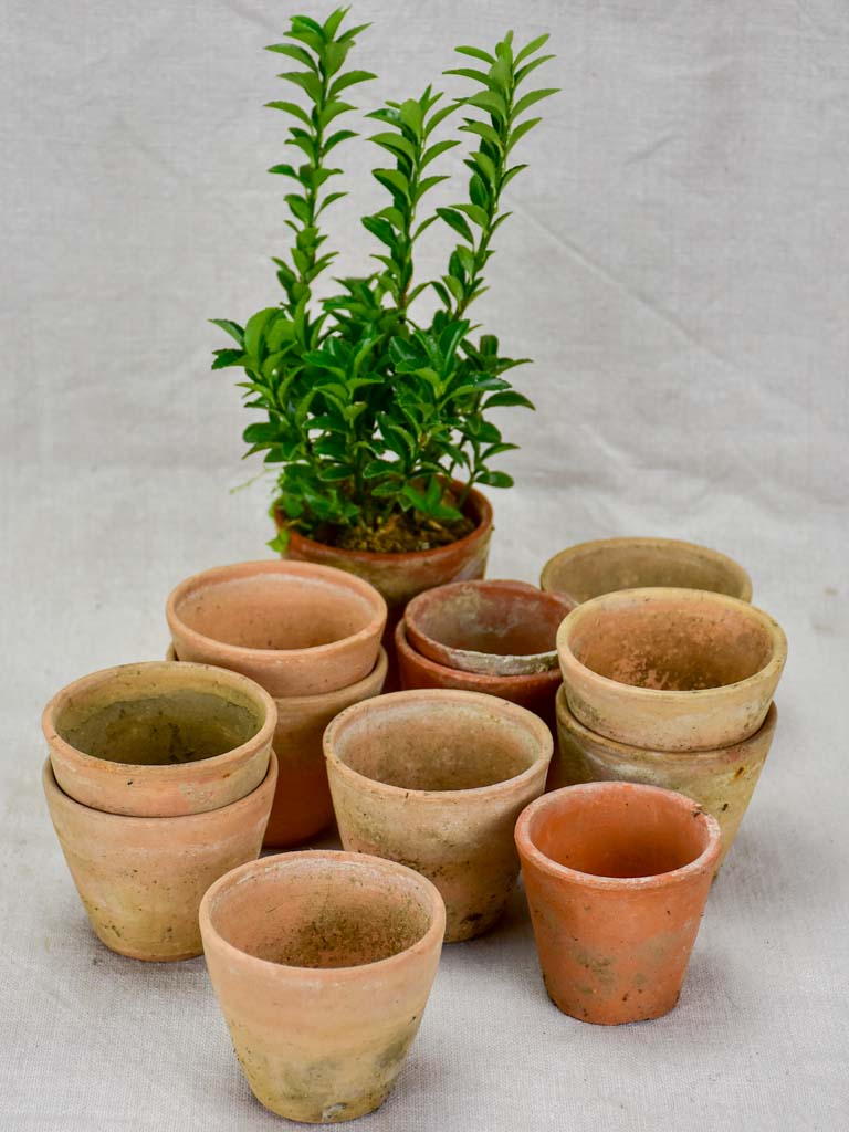 Collection of twelve small antique French terracotta pots 3¼"