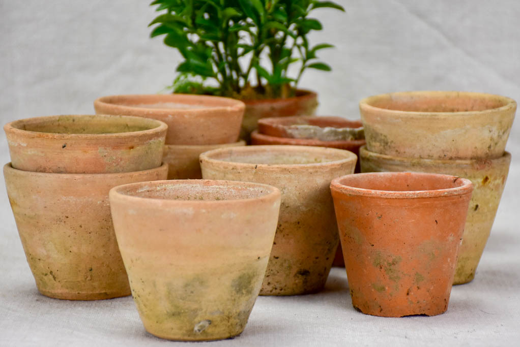 Collection of twelve small antique French terracotta pots 3¼"