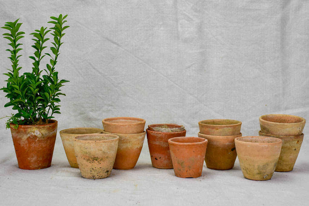 Collection of twelve small antique French terracotta pots 3¼"