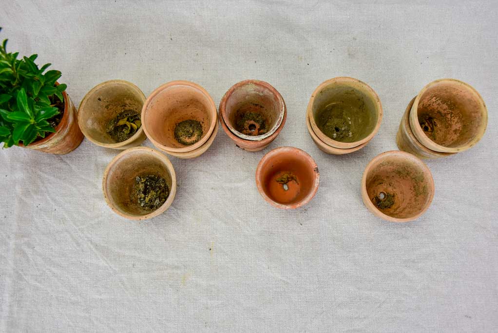 Collection of twelve small antique French terracotta pots 3¼"