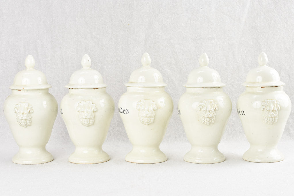 Classic Ruta labeled Italian apothecary jar