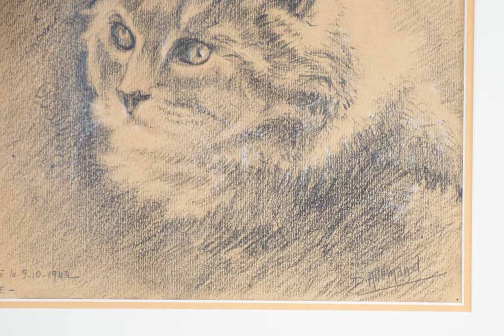 Framed provenance artistic cat study