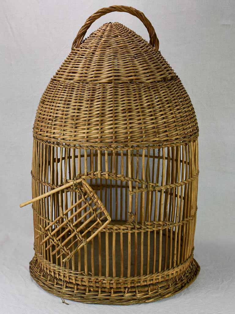 1950's French cane birdcage with original photo 30¾"