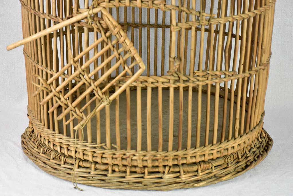 1950's French cane birdcage with original photo 30¾"