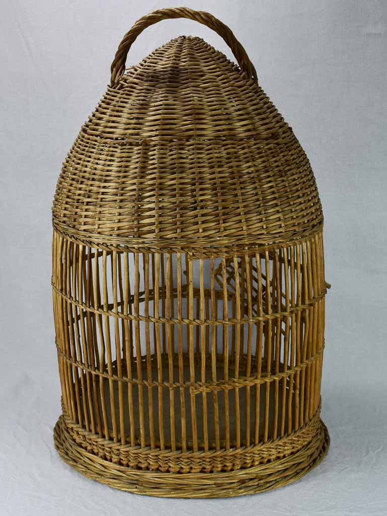 1950's French cane birdcage with original photo 30¾"