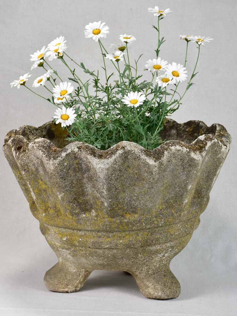 Elegent cement footed planter 1950's 17"