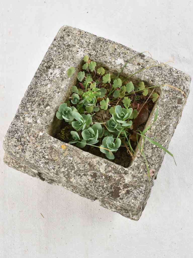 Three square antique stone planters 11"