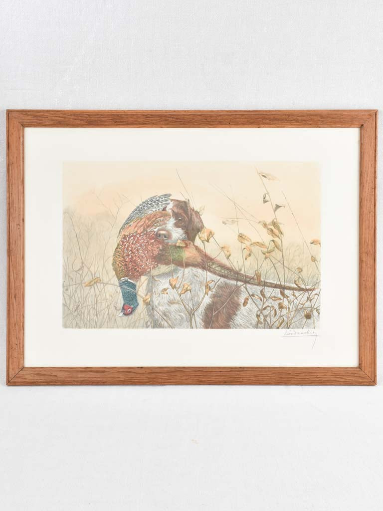 Vintage engraving of a hunting dog w/ pheasant Leon Danchiz (1887-1938) 23¾" x 32"