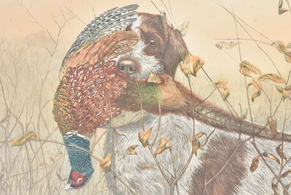 Vintage engraving of a hunting dog w/ pheasant Leon Danchiz (1887-1938) 23¾" x 32"