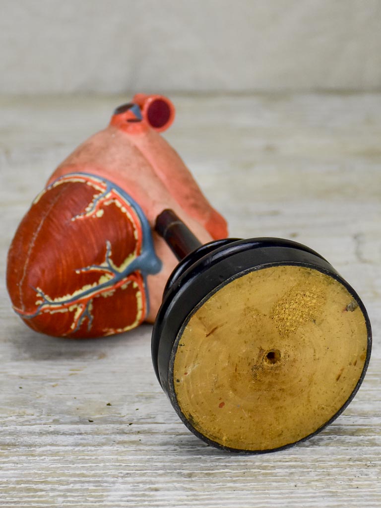 Antique French model of a heart on a black stand