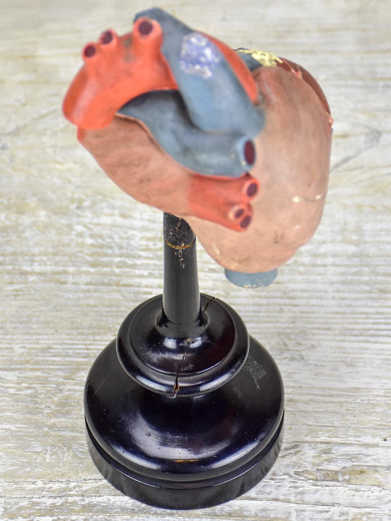 Antique French model of a heart on a black stand